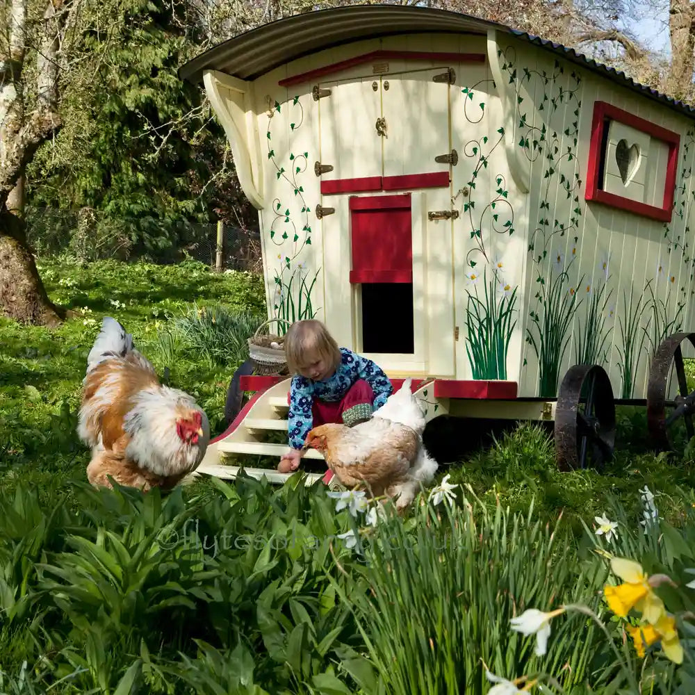 Gypsy Daydream Hen House by Flyte so Fancy, front view