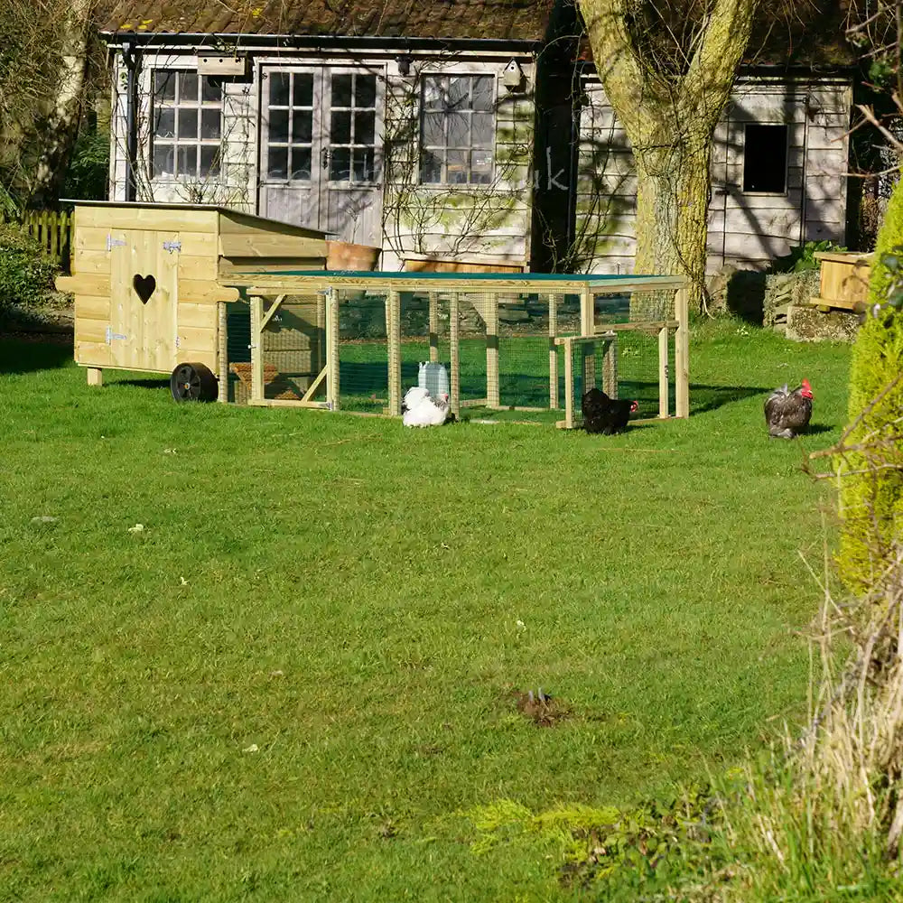 Side and end view of 9ft Run for Handy Hen Houses