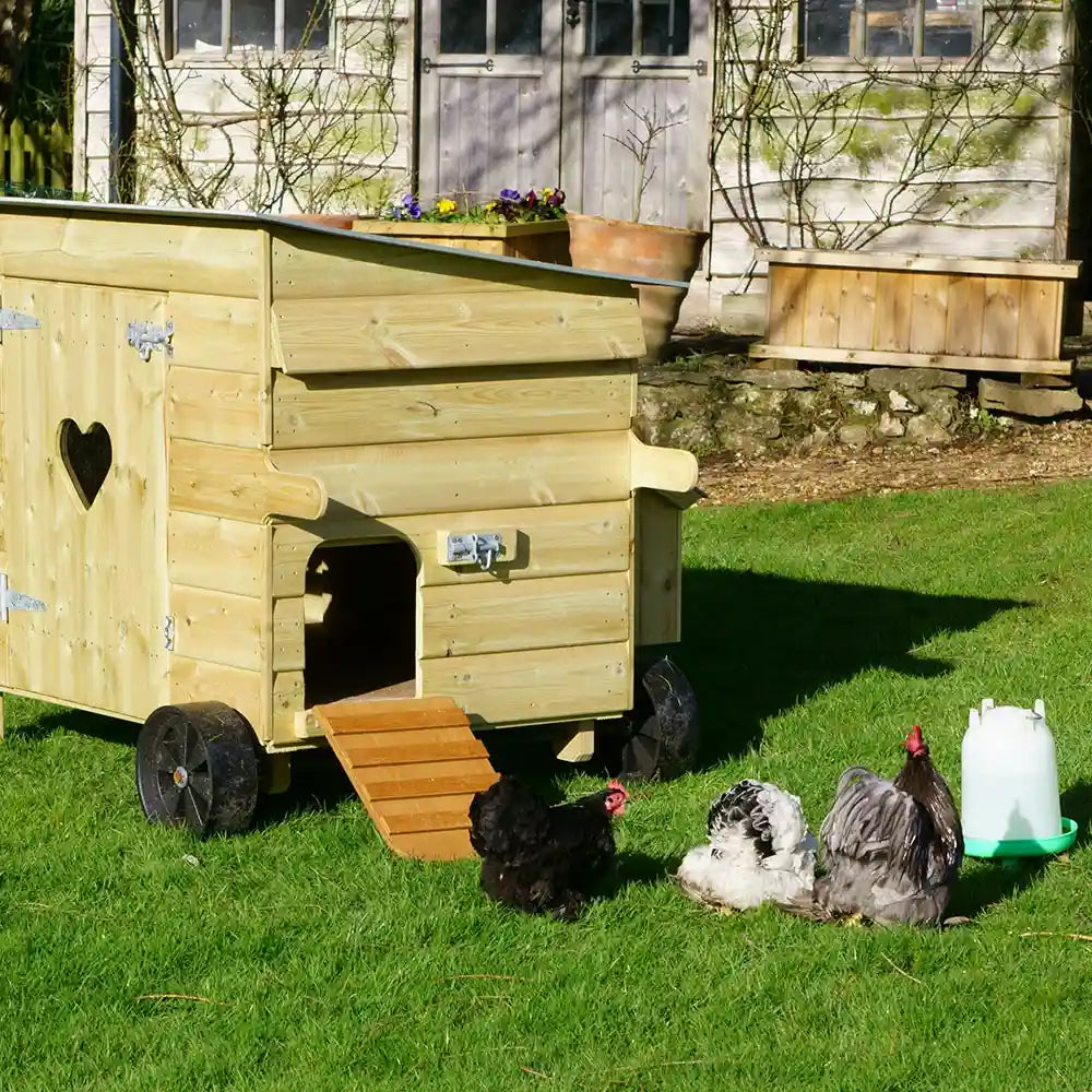 Pop-hole of Handy 10 Hen House with wheels