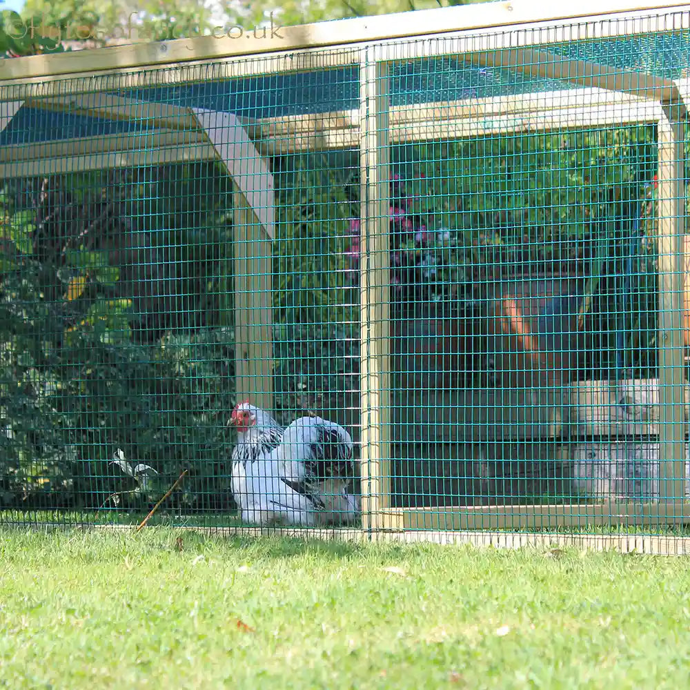 Detail of 12ft long Run for Handy Henhouses with Pekin Bantam hen