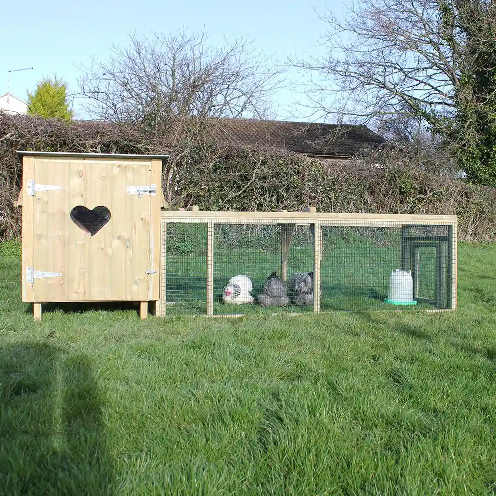 Front view of 6ft Run for Handy 4 Hen House
