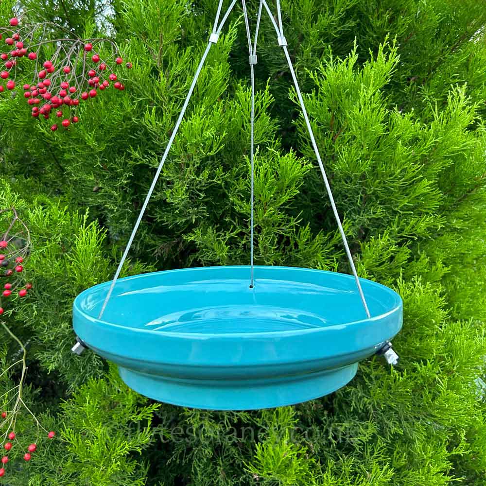 Hanging Water Dish for Garden Birds