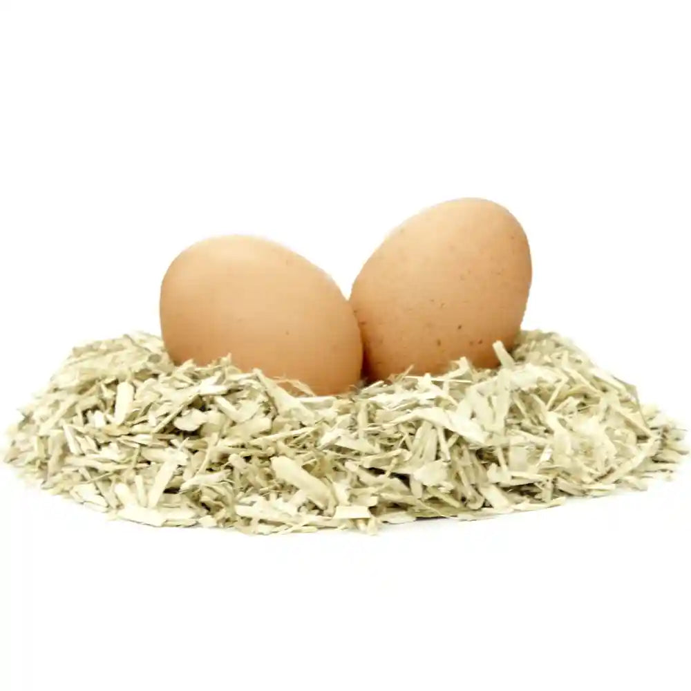 Nest of HempBed-E Poultry Bedding (nest with eggs)