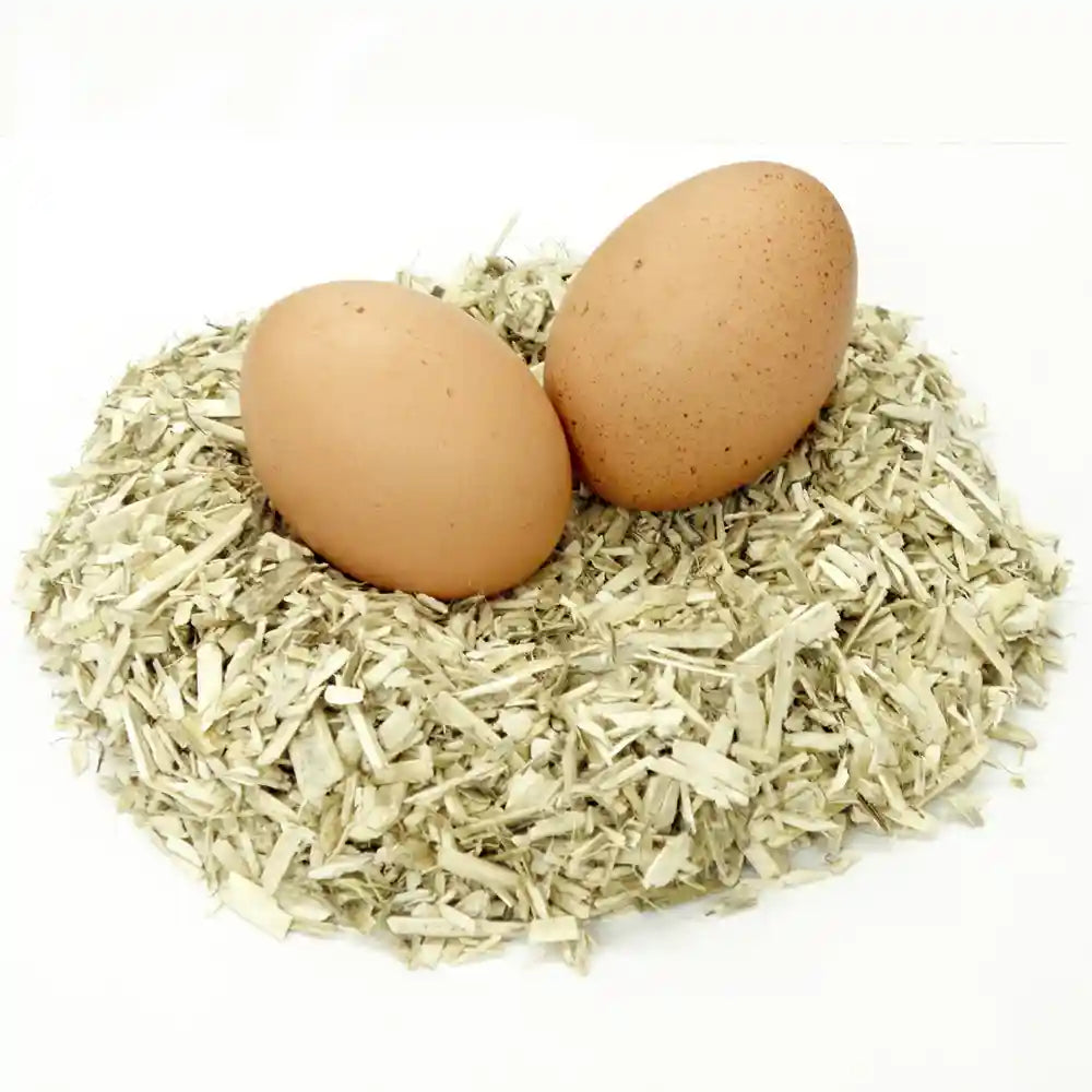 HempBed-E Poultry Bedding with eggs