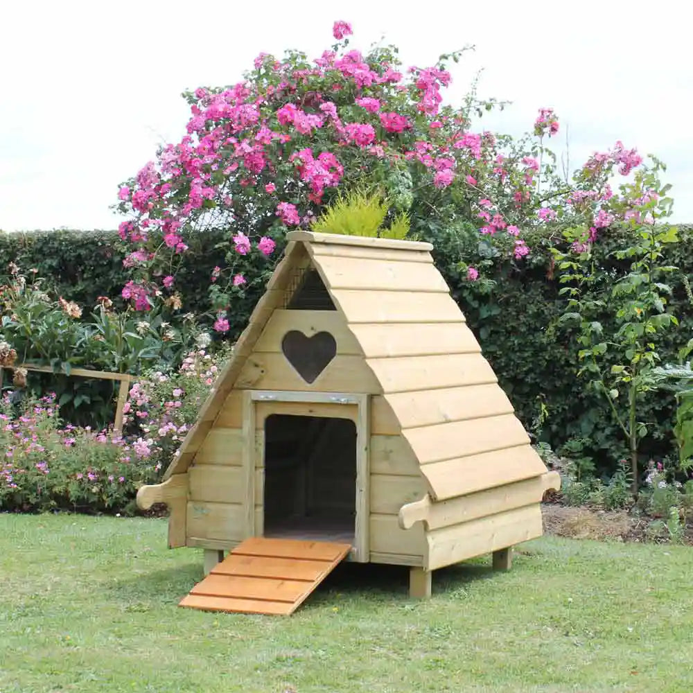 Hobby Duck House, view 2