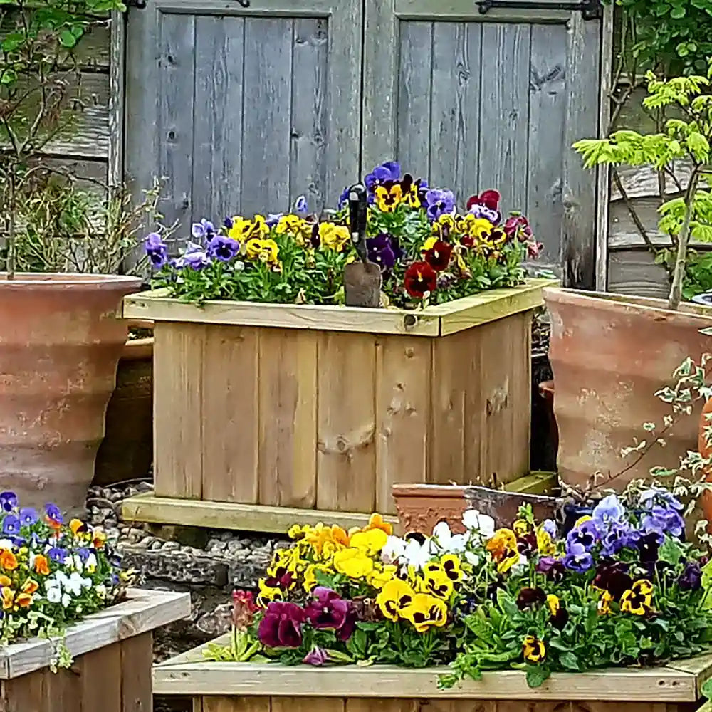 Holwell Wooden Square Planter packed with pansies