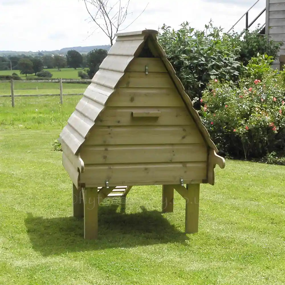 Rear door of Long-Legged Hobby Henhouse