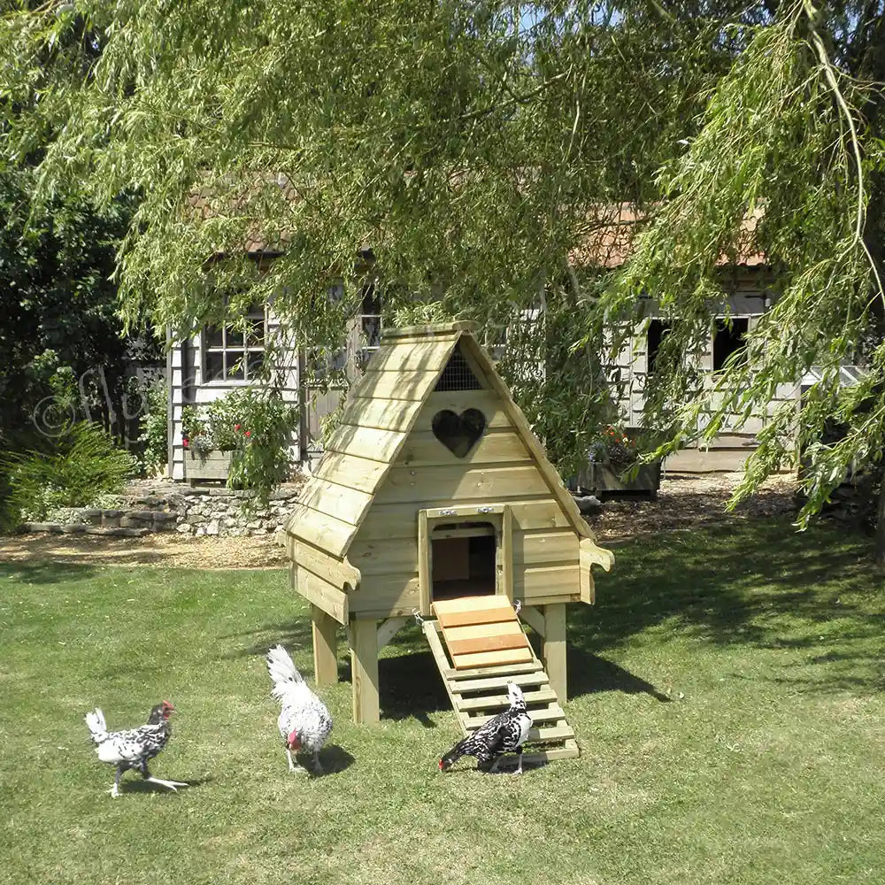 Long-Legged Hobby Hen House with Silver Hamburgs