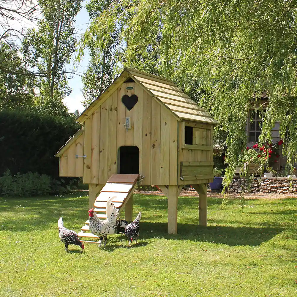 Long-Legged Maggie's Dozen Hen House, RHS