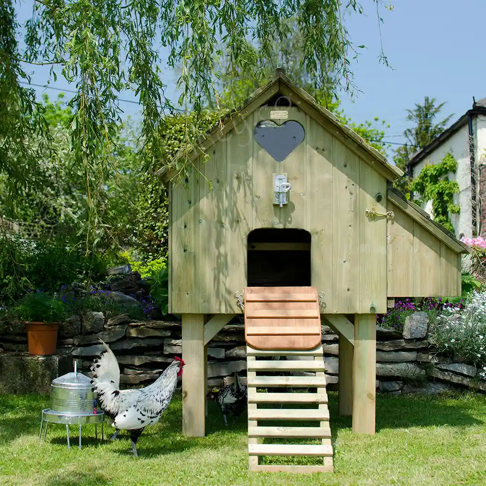 Front view Long-Legged Maggie's Six Hen House