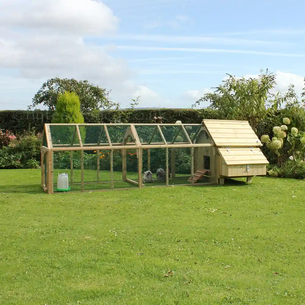 Side view 6ft Run with the Maggie's Six Hen House