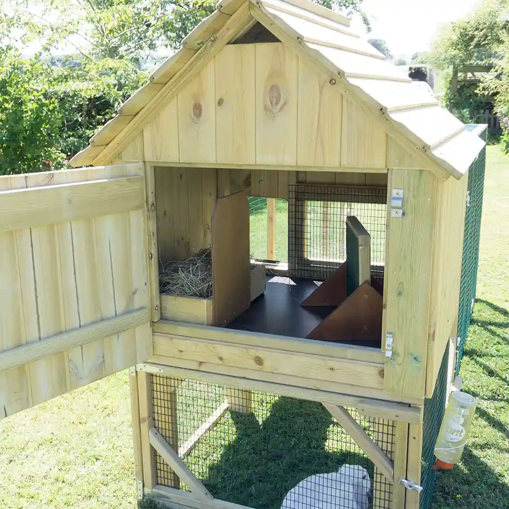 Inside the Millys Rabbit House