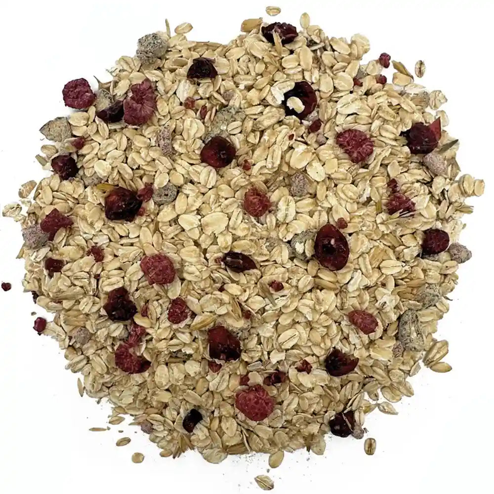 Natures Grub Afternoon Oats for Chickens, 600g - NEW!