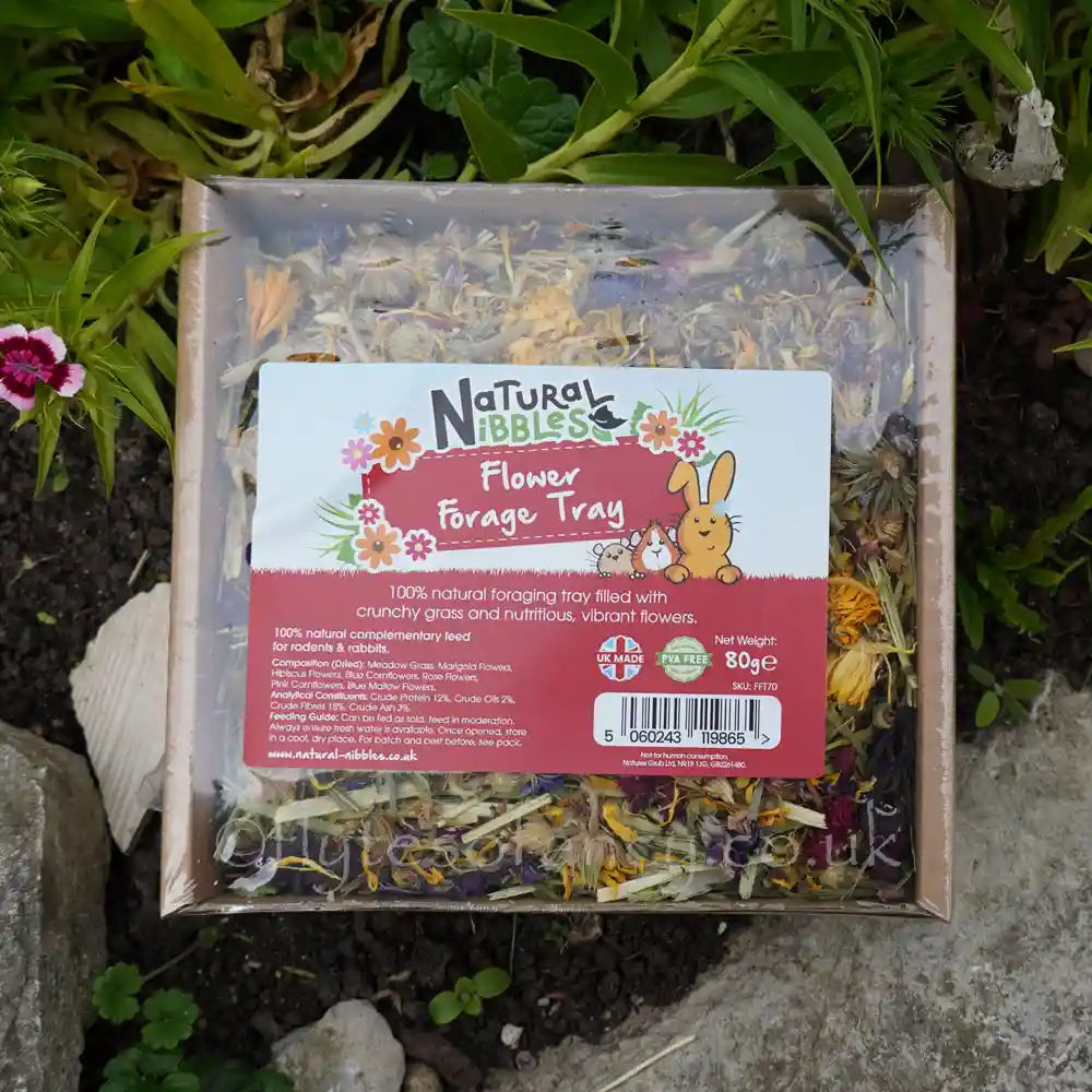 Natural Nibbles Flower Forage Tray for Rabbits 80g