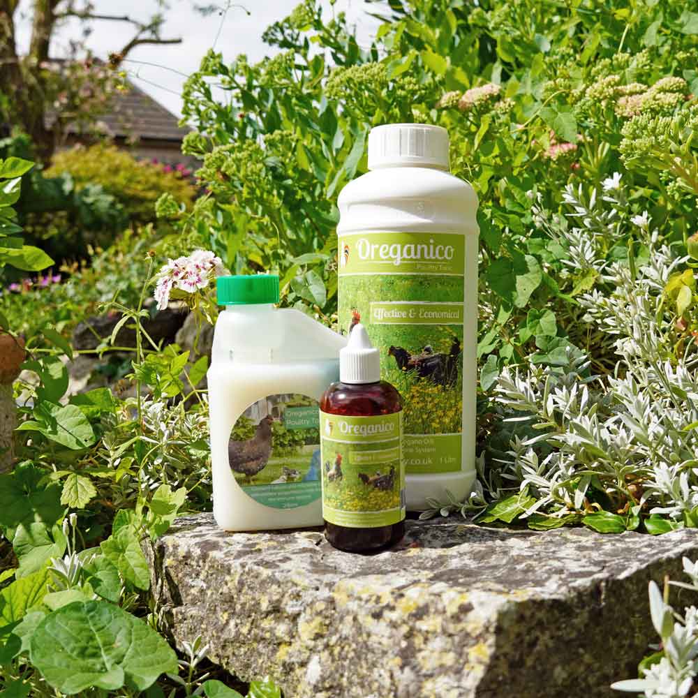 Oreganico Poultry Tonic - 100ml, 250ml, 1L