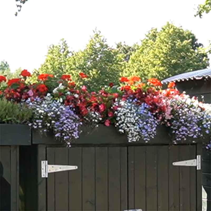 Grow Top Triple Wheelie Bin Store with Doors - NEW!