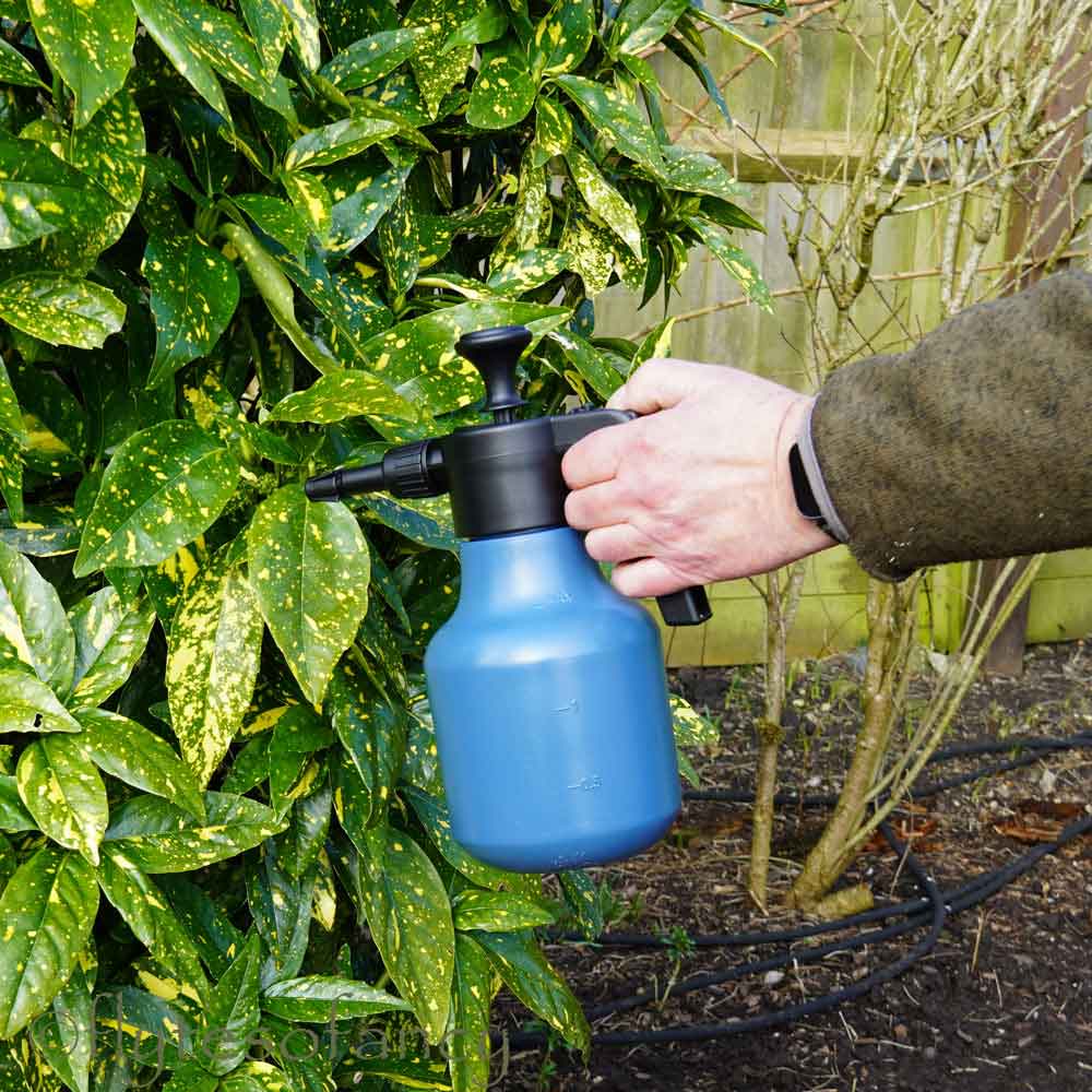 Hand-Held Pressure Sprayer 1.75L