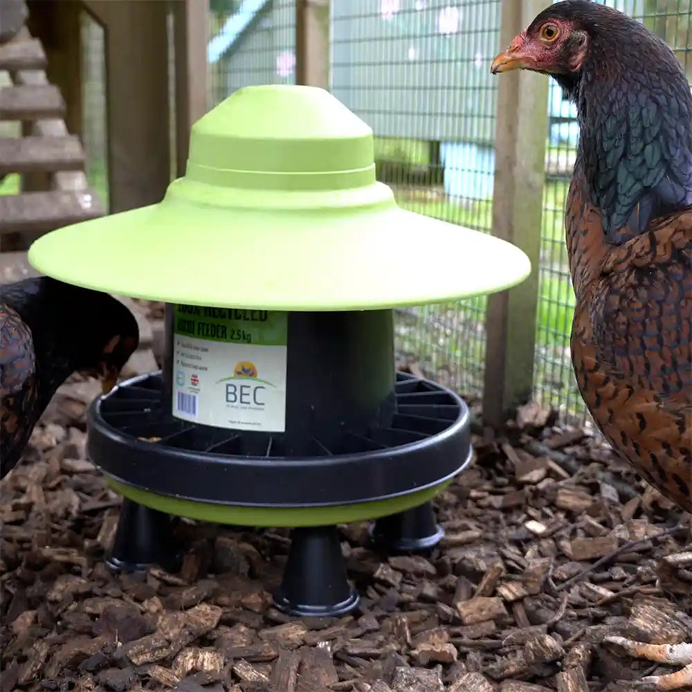 BEC Recycled Plastic Ascot Chicken Feeder 2.5kg