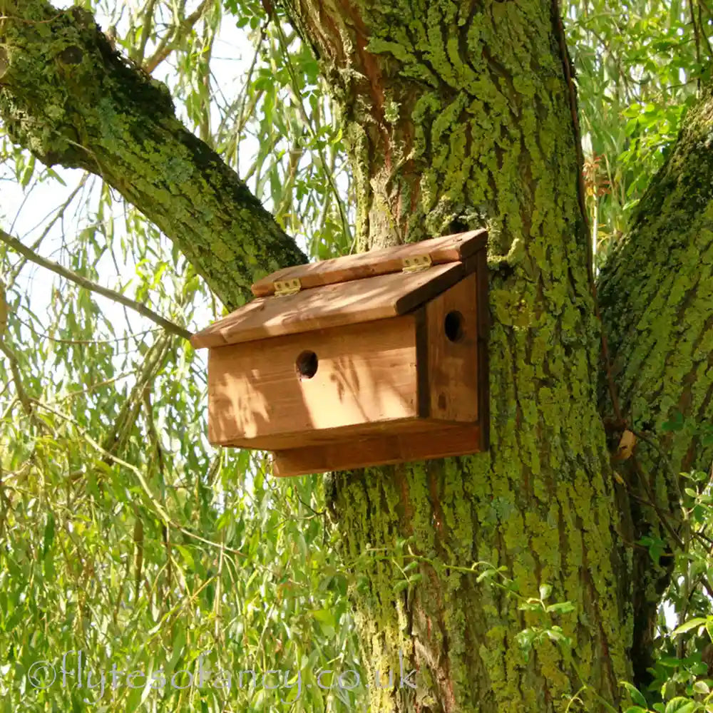 Brown Flyte Sparrow Terrace Nesting Box in a tree