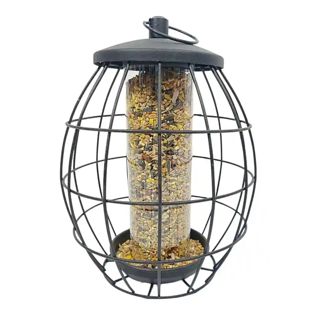 Squirrel Resistant Bird Seed Feeder