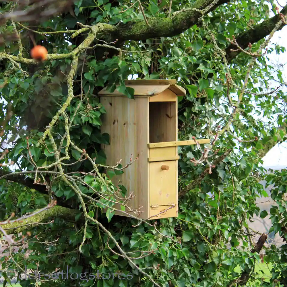 Flyte Tawny Owl Box mounted in tree