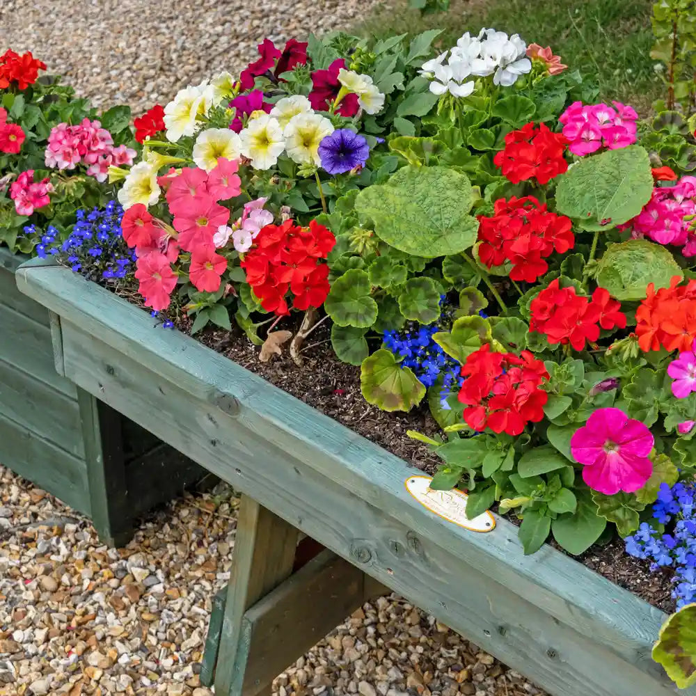 Close-up view of the V-Shaped Planter with flowers