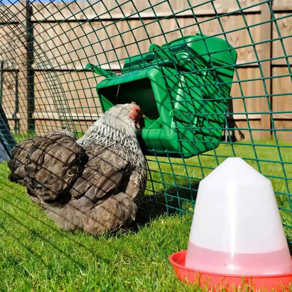 Wise Chicken Feeder mounted through the chicken run wire