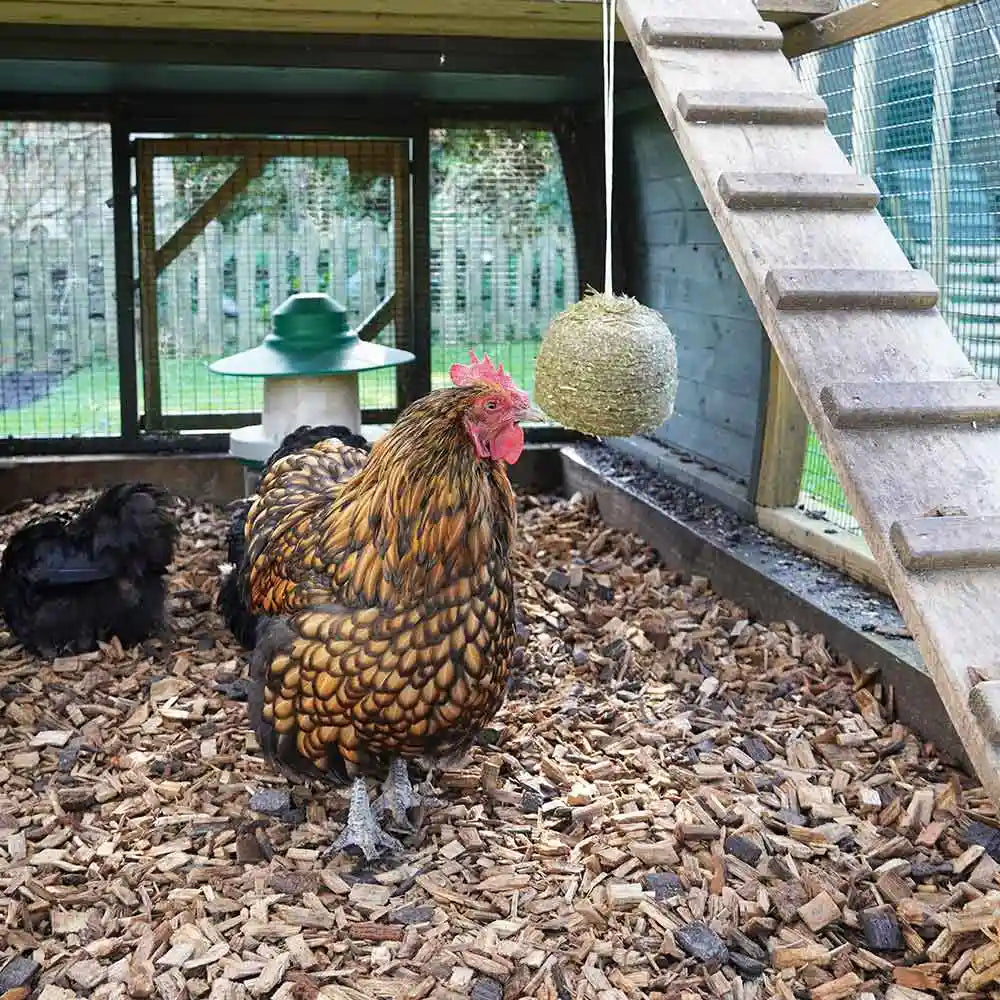 Silvermoor Hanging Alfa Block for Chickens 1kg