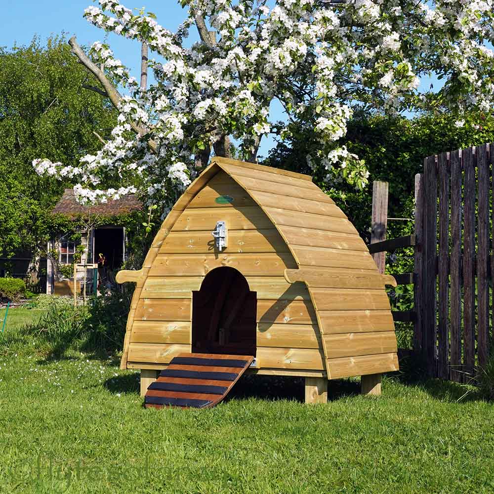 Archie The Duck House
