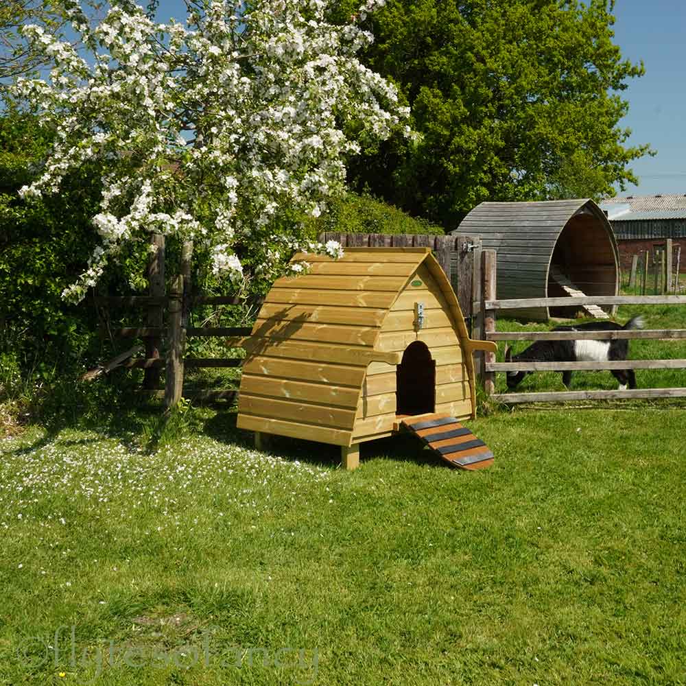 Archie The Duck House