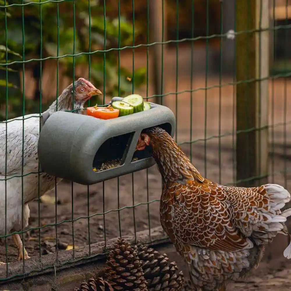 Beeztees Recycled Plastic Chicken Feeder