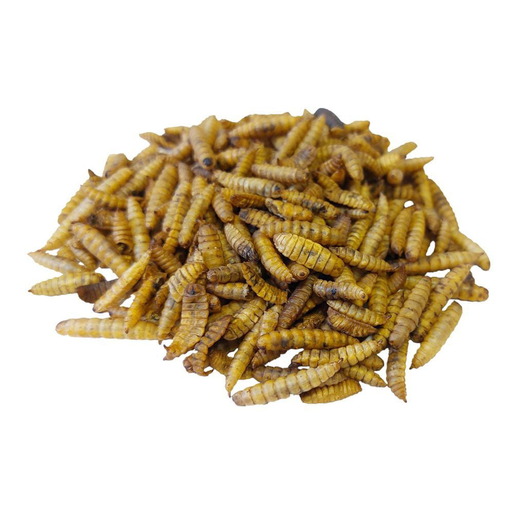 Copdock Mill Calci-Boost Grubs