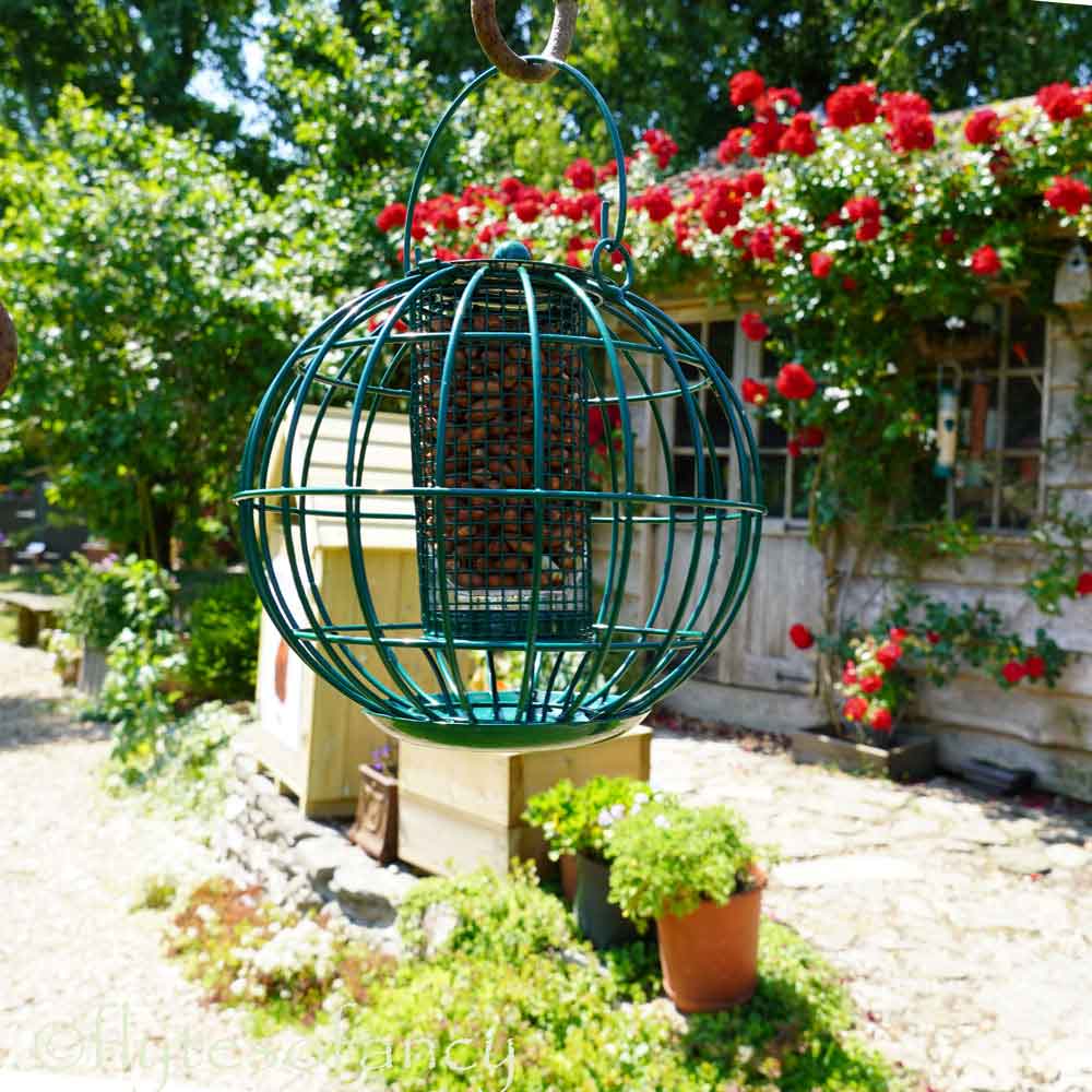 CJW Green Squirrel Proof Peanut Feeder - NEW!