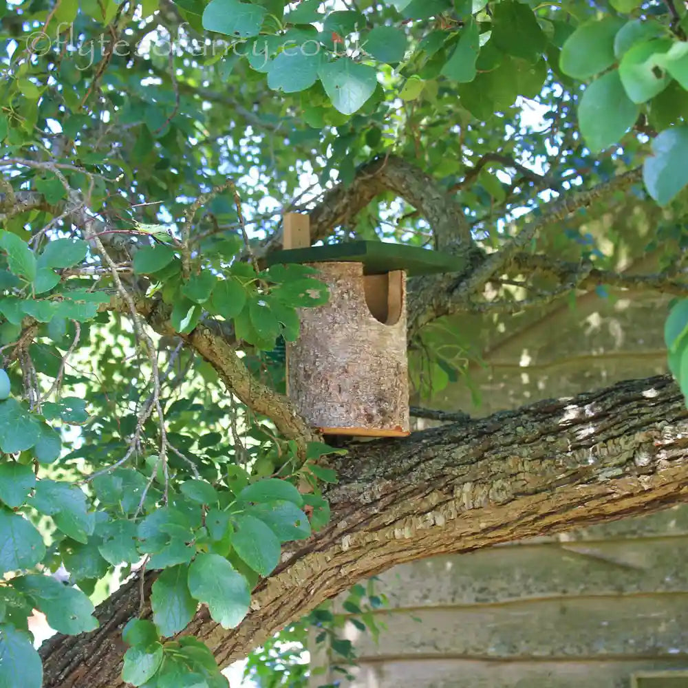 National Trust Open Fronted Birch Log Nest Box