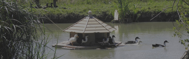 Flyte so Fancy Floating Duck Lodge