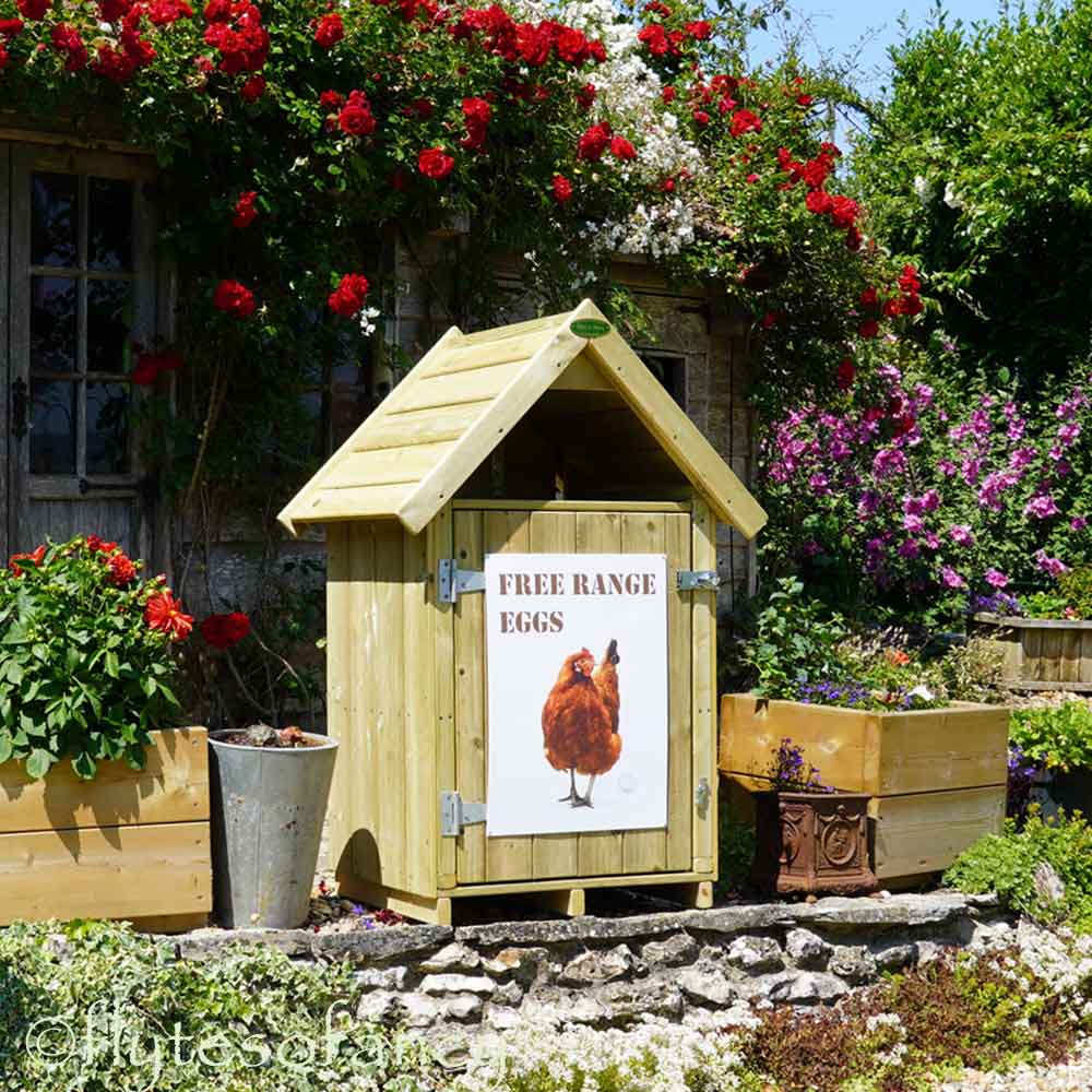 Egg Selling House
