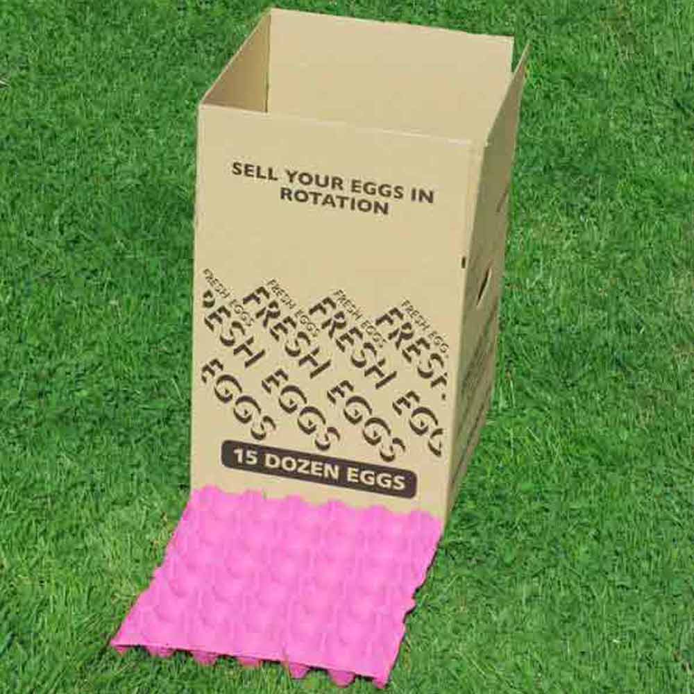 Egg Packing Boxes for 6 egg trays