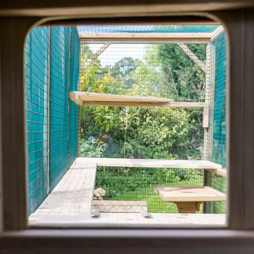 Cats eye view of The Flyte Cat Villa play area