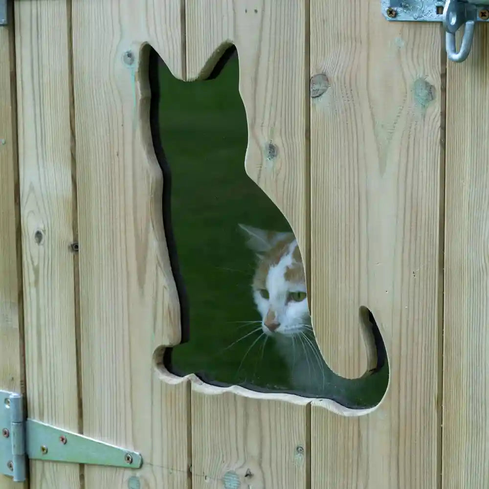 Cat window in The Flyte Cat Villa