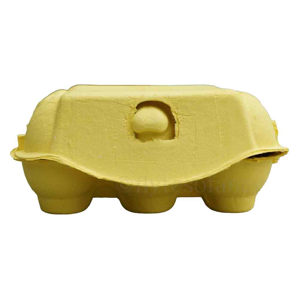 Flyte Fibre Egg Boxes - Sunflower Yellow