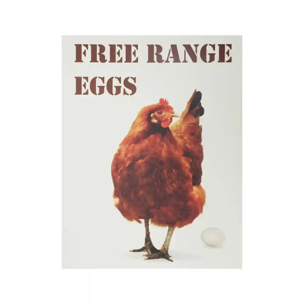Free Range Eggs for Sale Sign