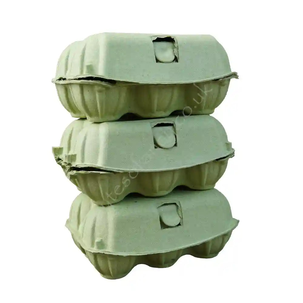 Coloured Egg Boxes, Spring Green