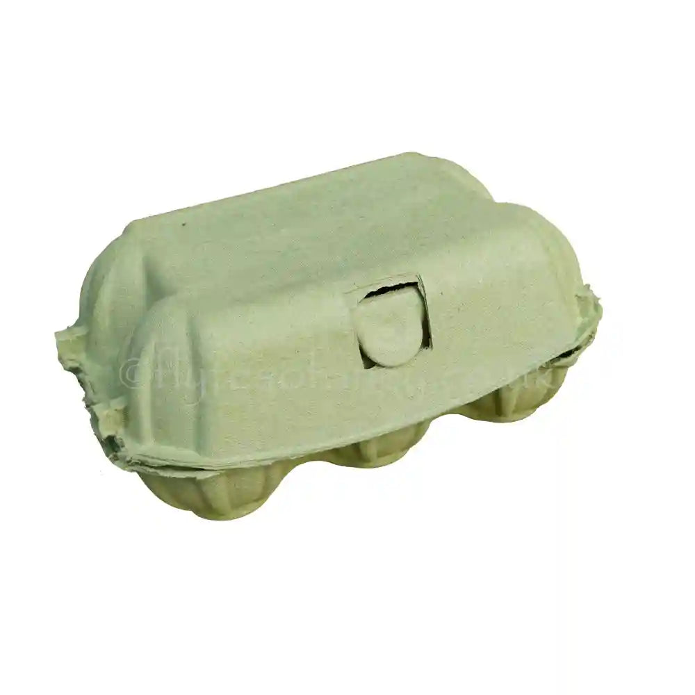 Coloured Egg Boxes, Spring Green - NEW!