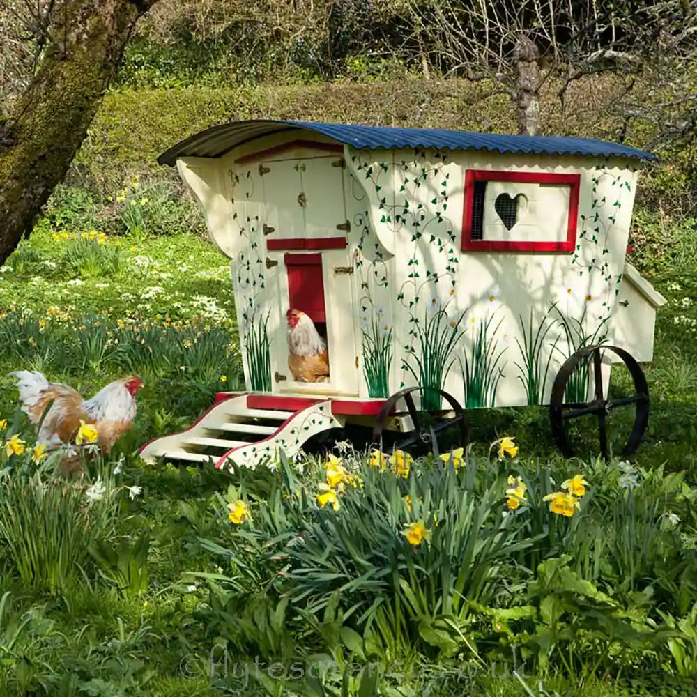 Gypsy Daydream Chicken House among the daffodils