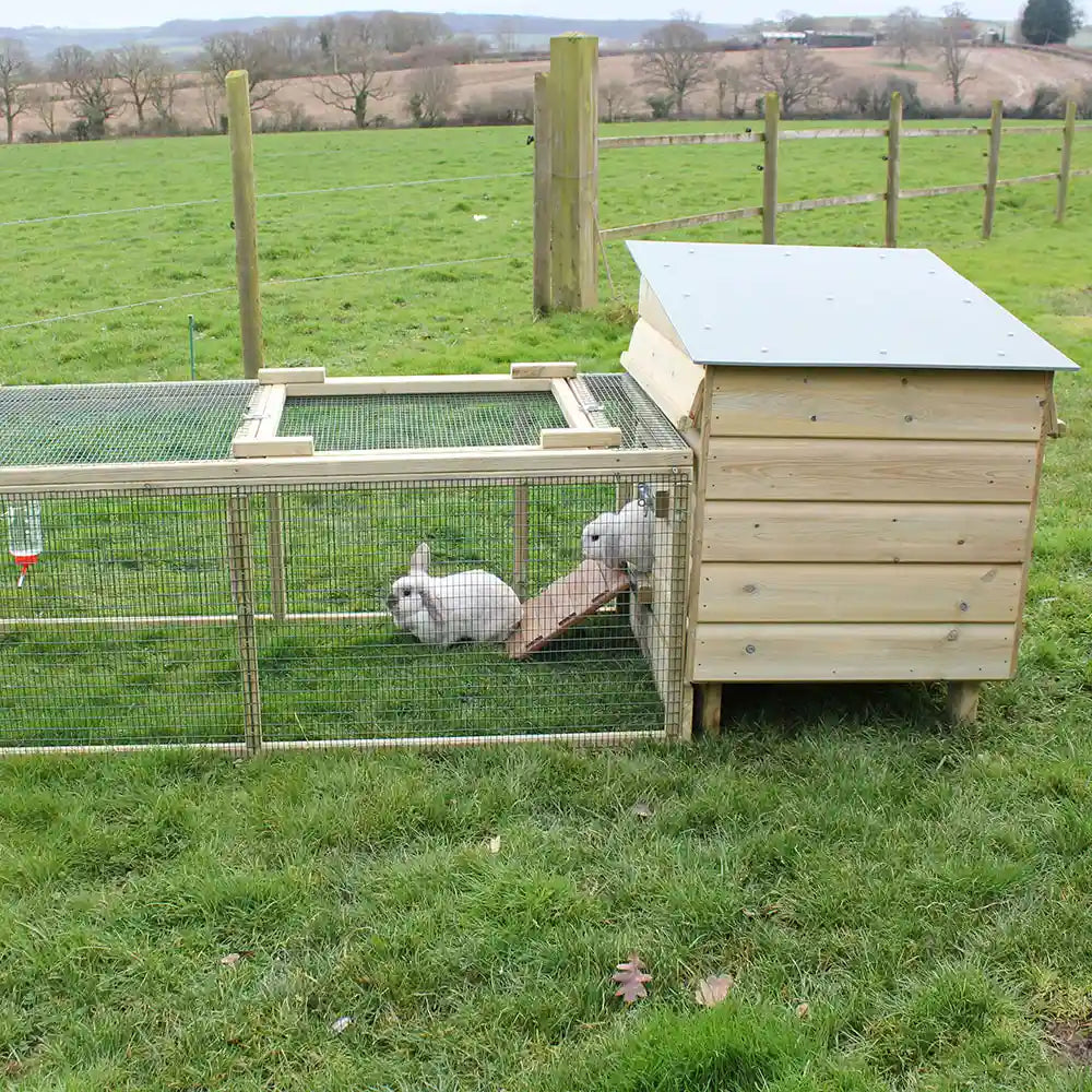 Rear view of Hoppity Rabbit Hutch with 9ft Run