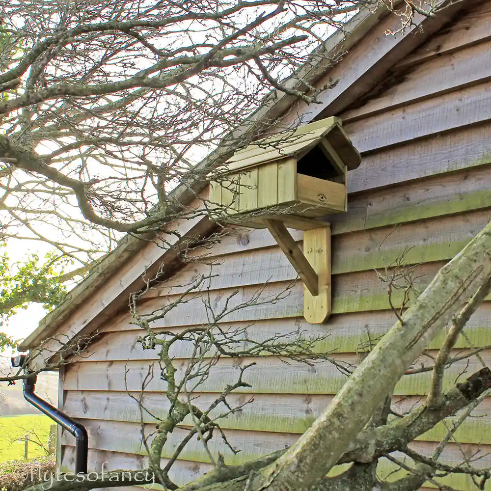 Flyte Nesting Box for Kestrels mounted on a barn