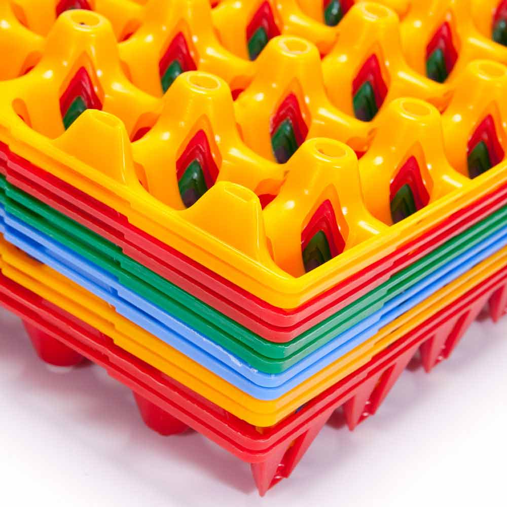 Plastic Egg Trays Egg Storage & Packaging at Flyte so Fancy