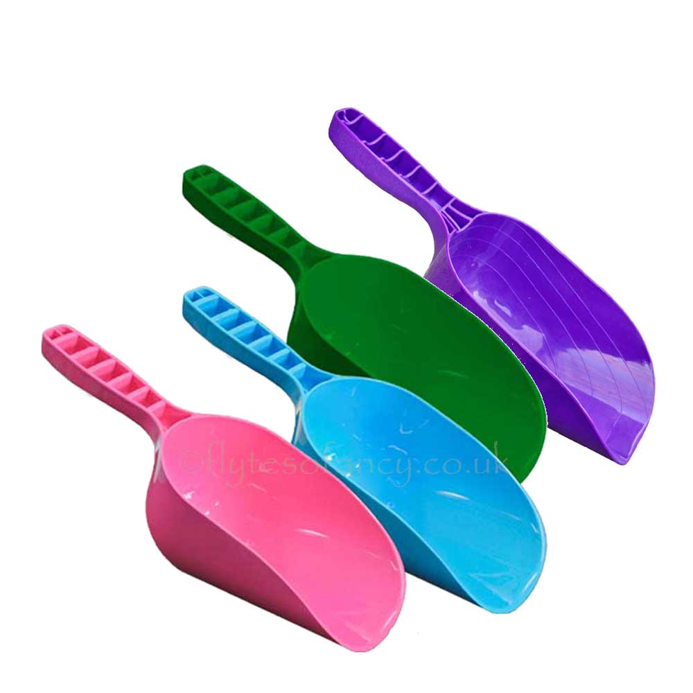 Small Plastic Feed Scoop - Purple, Green, Blue, Pink