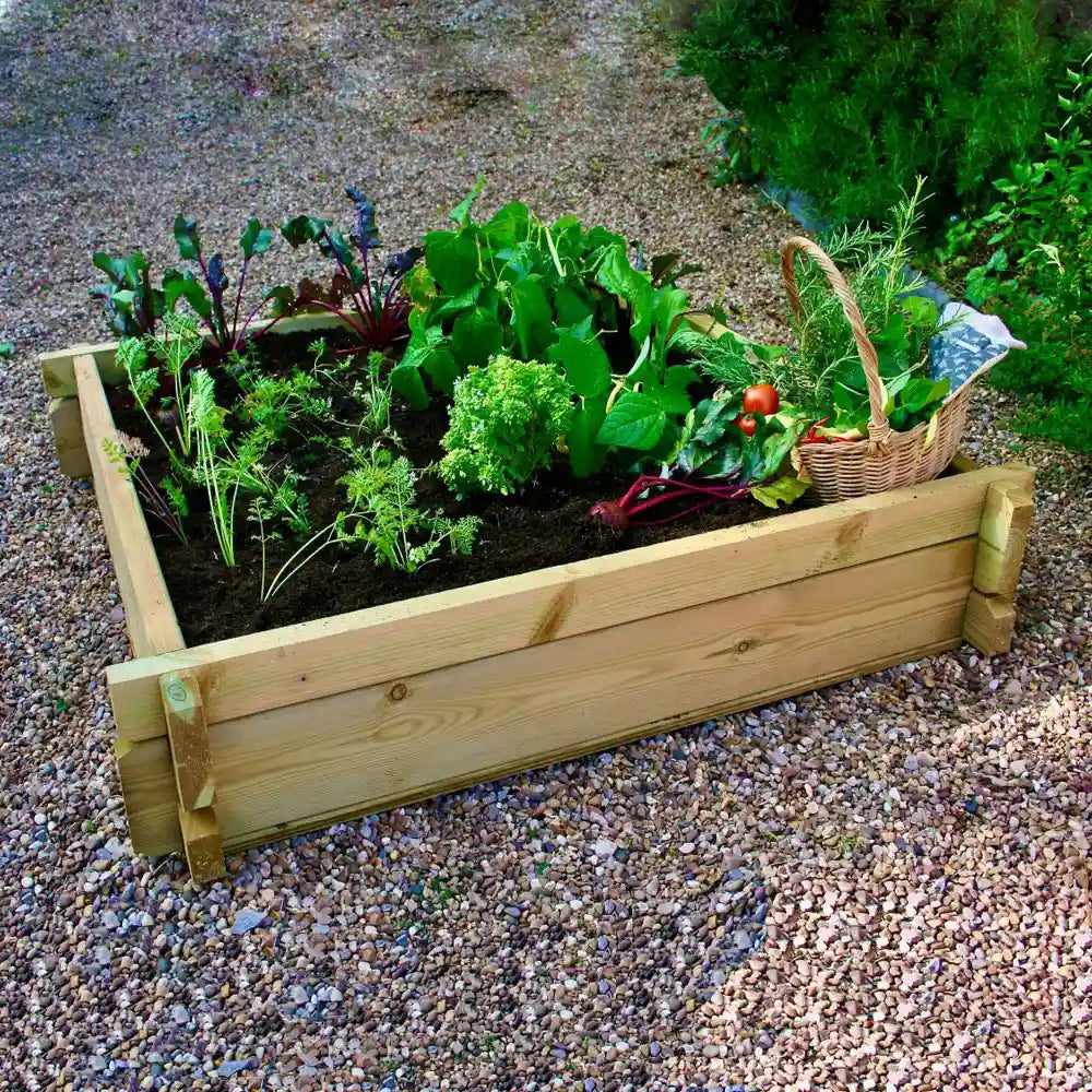 Raised Garden Bed with veg