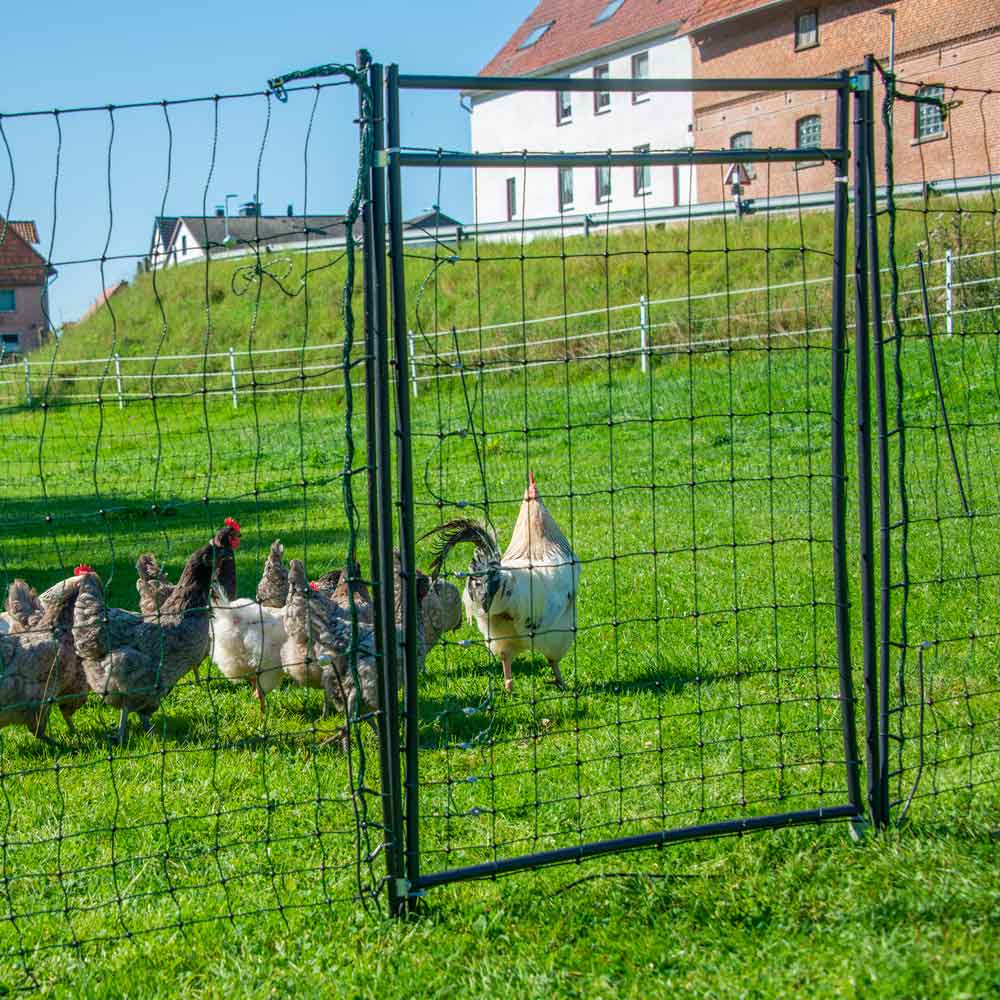 Rigid Gate for Electric Poultry Netting - NEW!